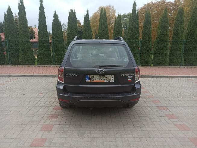 SUBARU FORESTER POLSKI SALON 2012 4x4 Legionowo - zdjęcie 4
