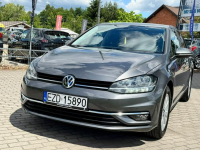 Volkswagen Golf Zduńska Wola - zdjęcie 7