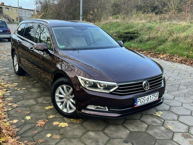 Volkswagen Passat Zarejestrowany Bogata wersja TOP Gostyń - zdjęcie 1