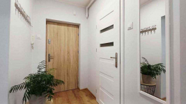 1pok, 30met, okolice Sienkiewicza PO REMONCIE (Wrocław) Śródmieście - zdjęcie 9