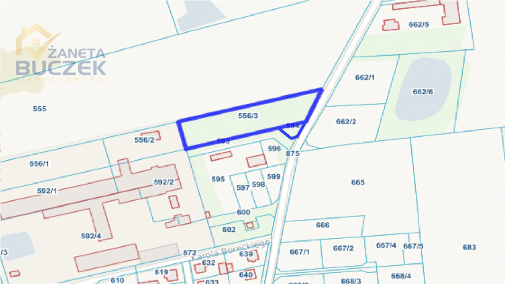 Działka pod obiekt produkcyjny Nieborów - zdjęcie 1