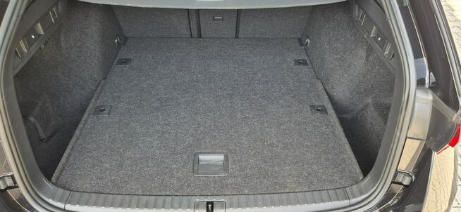 Škoda Octavia VRS-HEADUP-AUTOMAT-AMBILIGHT Paproć - zdjęcie 10