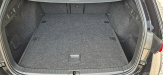 Škoda Octavia VRS-HEADUP-AUTOMAT-AMBILIGHT Paproć - zdjęcie 10