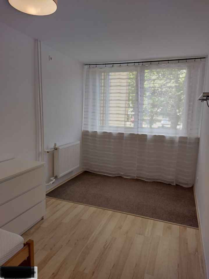 2pok, 35met, okolice Bacciarellego PIWNICA (Wrocław) Śródmieście - zdjęcie 1