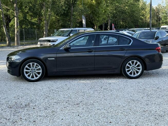 528i xDrive! Salon Polska! Kamera cofania ! Niski przebieg ! Idealny! Pęcice - zdjęcie 6