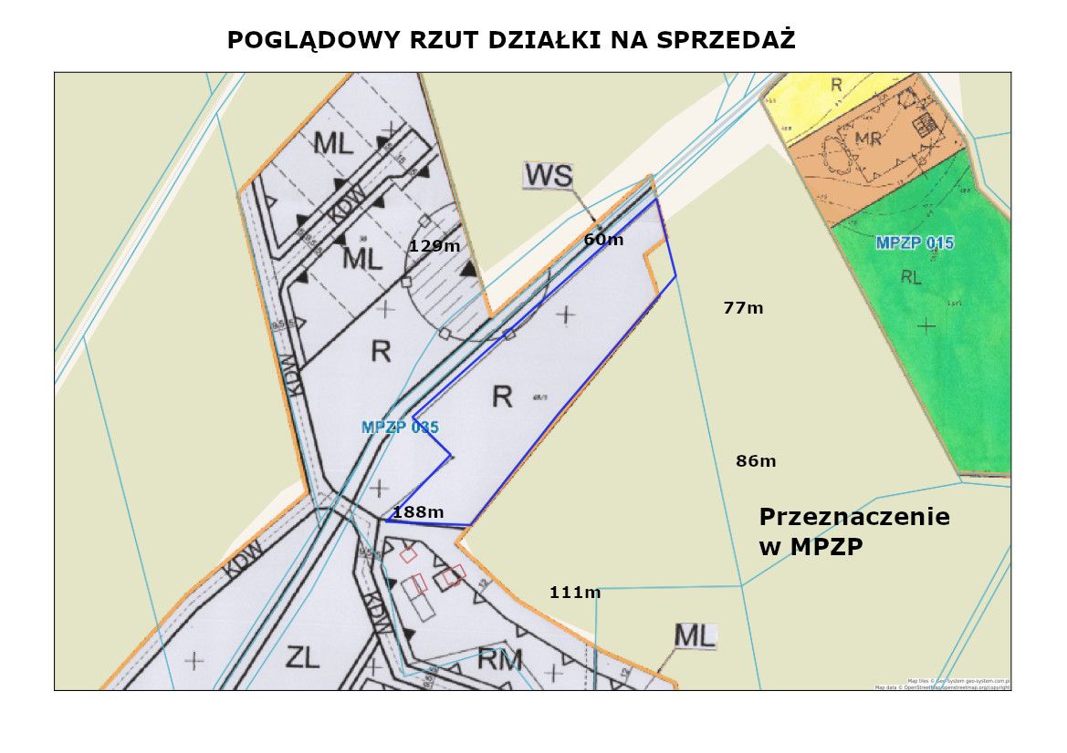 Rola w Puszczy Noteckiej. Marylin - zdjęcie 2