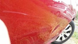 ciekawy PEUGEOT 208 Słotwina - zdjęcie 9