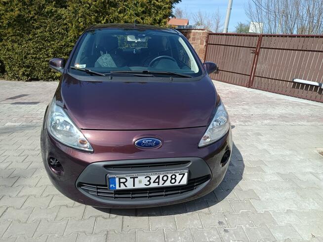 Ford KA 1.2 Oryginalny lakier mały przebieg Szydłowiec - zdjęcie 2