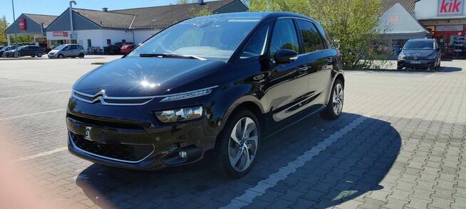 Sprzedam Moją Cytrynkę Nowe Miasto Lubawskie - zdjęcie 11