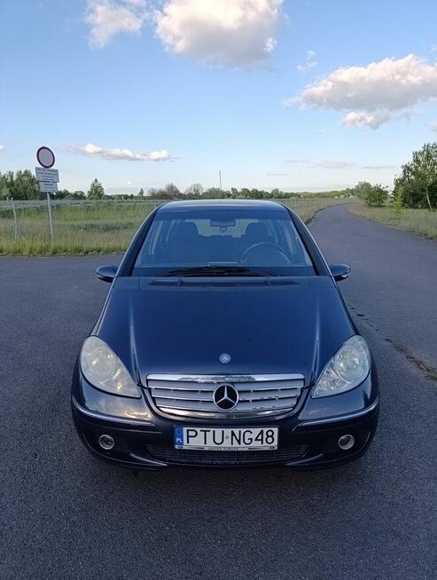 Sprzedam Turek - zdjęcie 2