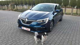 Renault Megane 1.3 TCe Life Bachowice - zdjęcie 2
