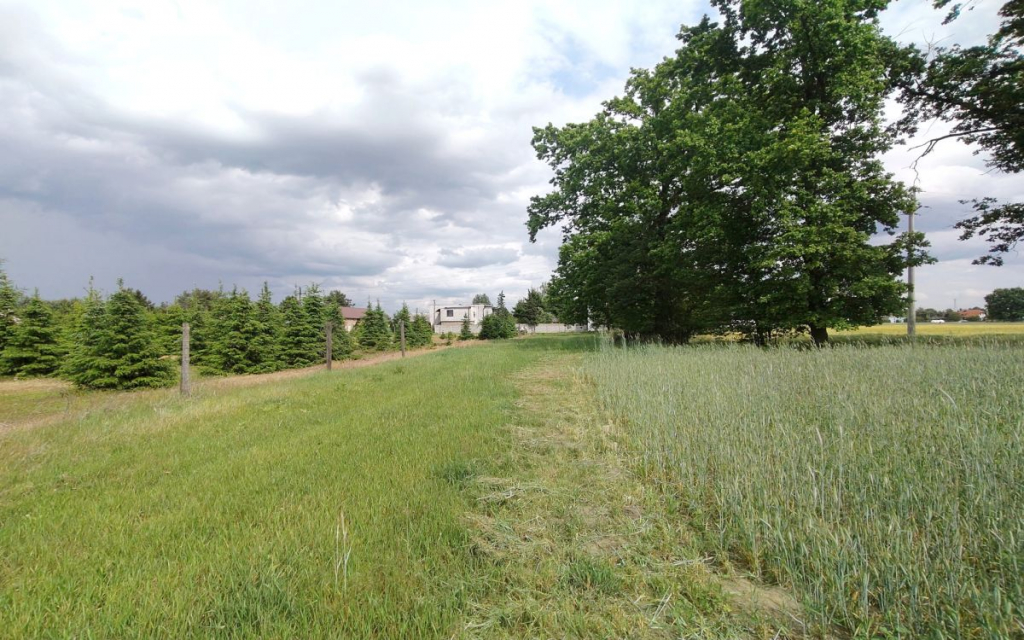 Działka z WZ blisko Nowego Tomyśla. Glinno - zdjęcie 7
