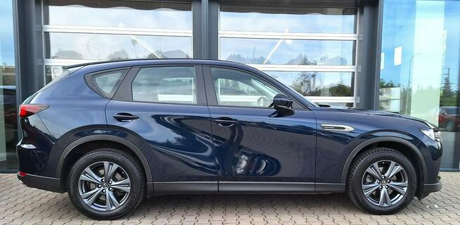 Salon Polska, Serwis ASO, MAZDA Grupa Wróbel Długołęka - zdjęcie 3