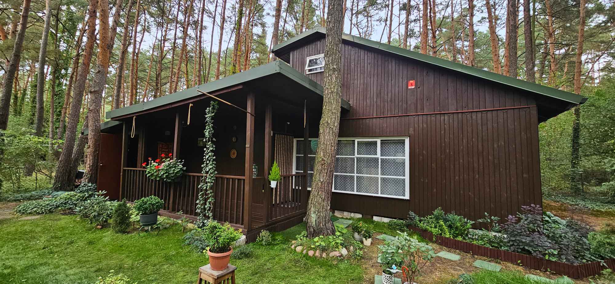 Działka leśna Topolina gmina Wieliszew Topolina - zdjęcie 1