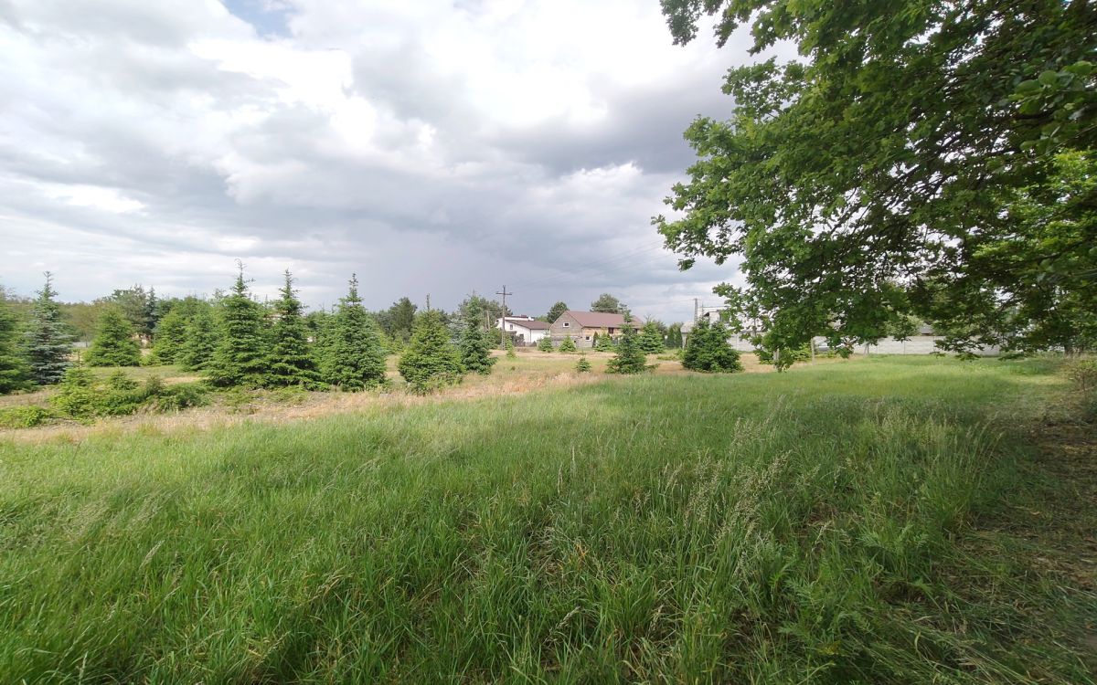 Działka z WZ blisko Nowego Tomyśla. Glinno - zdjęcie 5