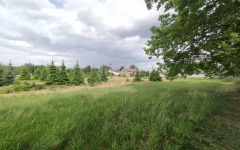 Działka z WZ blisko Nowego Tomyśla. Glinno - zdjęcie 5