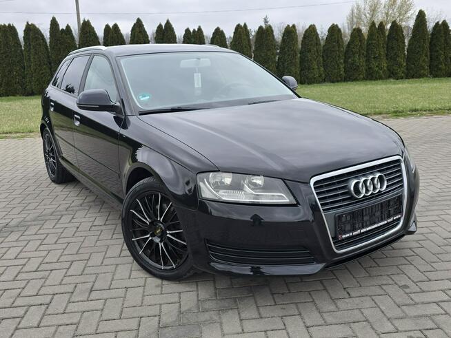 Audi A3 1,4Turbo Benz.LIFT.Automat.Navi.DVD.Parktronic.Tempomat. Kutno - zdjęcie 2