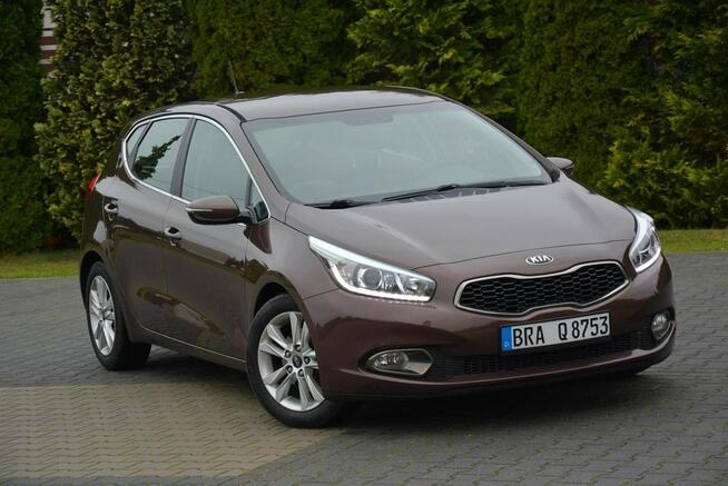 Platinum Lift Navi Ledy Kamera Klimatronic Matrix Braun Alu16 ASO Kia Ostrów Mazowiecka - zdjęcie 10