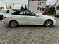 Mercedes E 350 E350CDI*Cabriolet*B i Xenon*Skóra*Navi*Polecam ! ! ! Miechów - zdjęcie 6