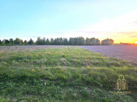 Działka nad jeziorem Rajgrodzkim* Stacze*3001m2* Stacze - zdjęcie 12