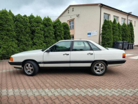 Audi 100 C3 Cygaro *5 cylindrów* Ostrołęka - zdjęcie 3