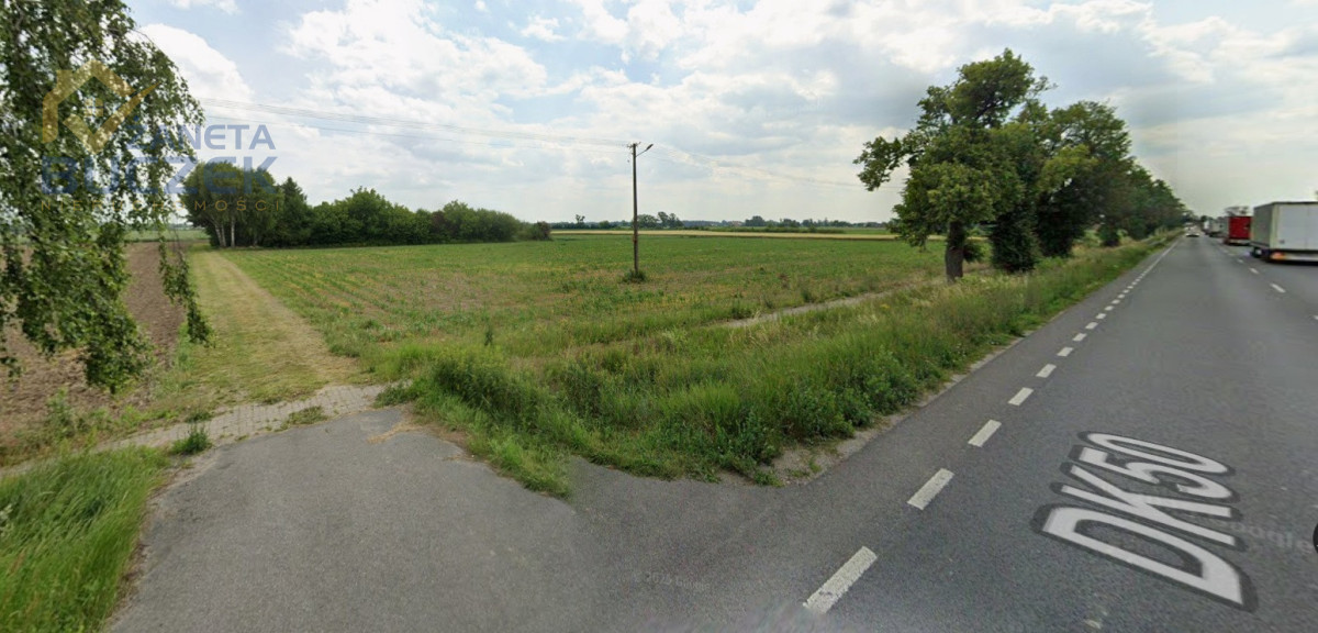 Sprzedam działkę rolną w Młodzieszynie przy DK50 Młodzieszyn - zdjęcie 3