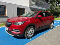 Opel Grandland X Automat, Salon Polska, Serwisowany w ASO. Warszawa - zdjęcie 7