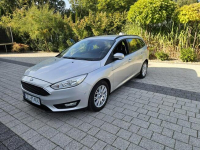 FORD FOCUS 1.6 115 KM EKONOMICZNY Strzegom - zdjęcie 9