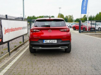 Opel Grandland X Lipówki - zdjęcie 7