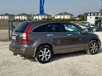 HONDA CR-V 2.2 DIESEL | EXECUTIVE + Navi | 2012 | Panorama | Xenon Grójec - zdjęcie 11