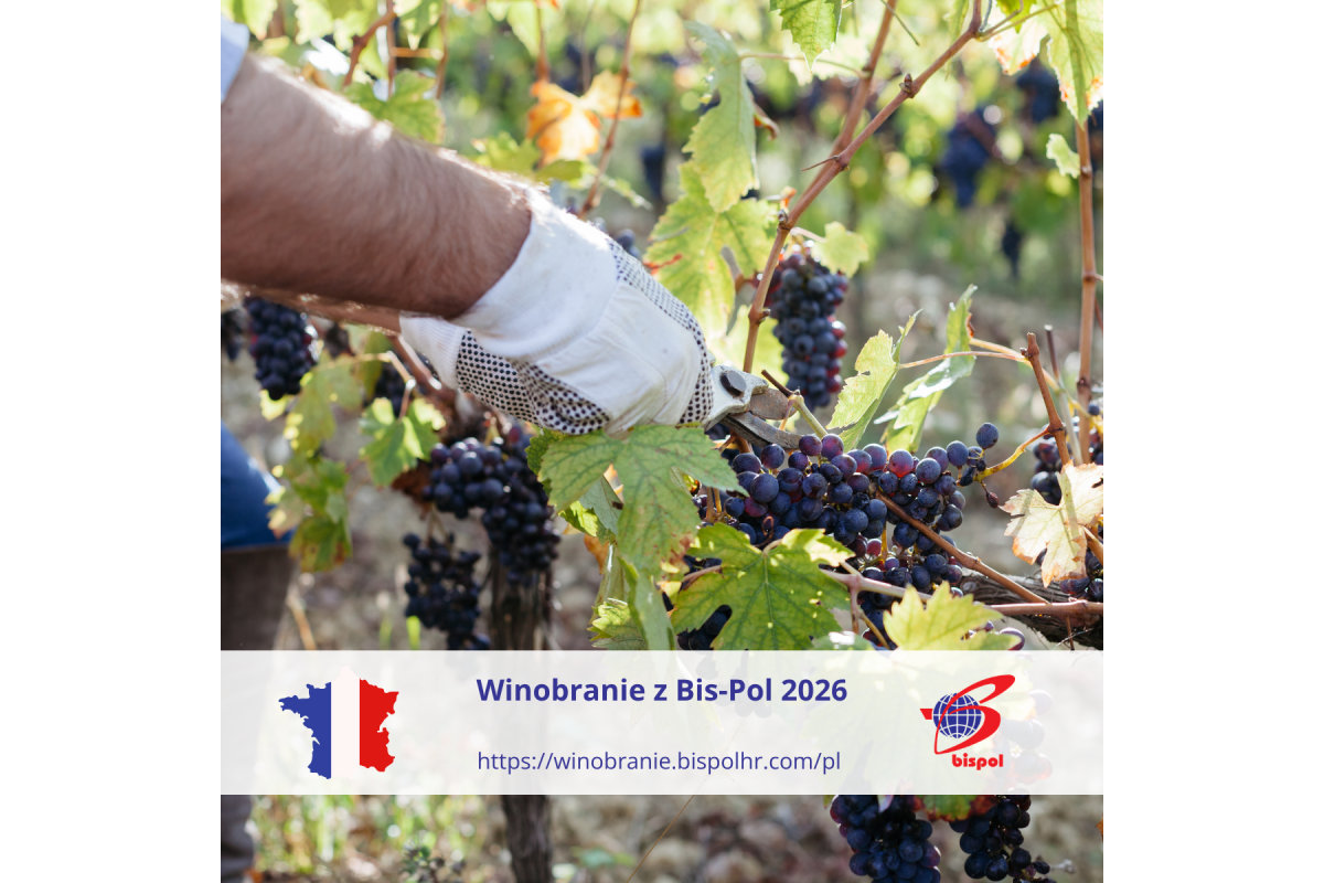 Winobranie 2026 Rzeszów - zdjęcie 1