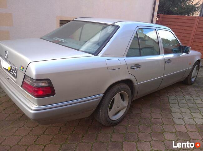 Mercedes-Benz W124 Brzoza - zdjęcie 1