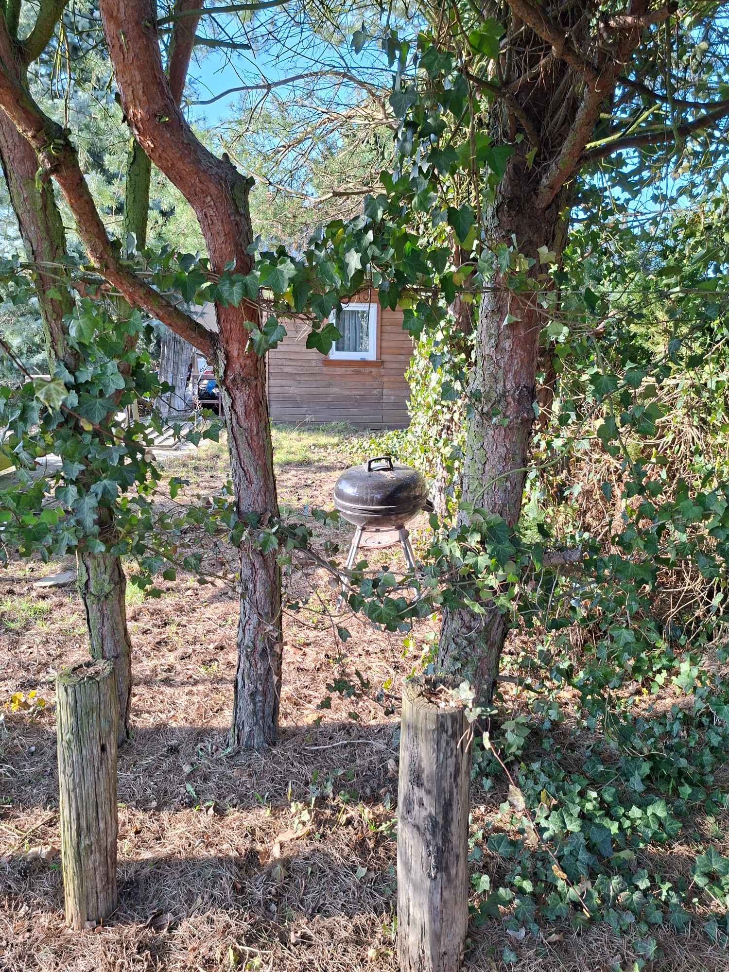 Sprzedam dzialkę ROD 4-marca Stargard Stargard - zdjęcie 2