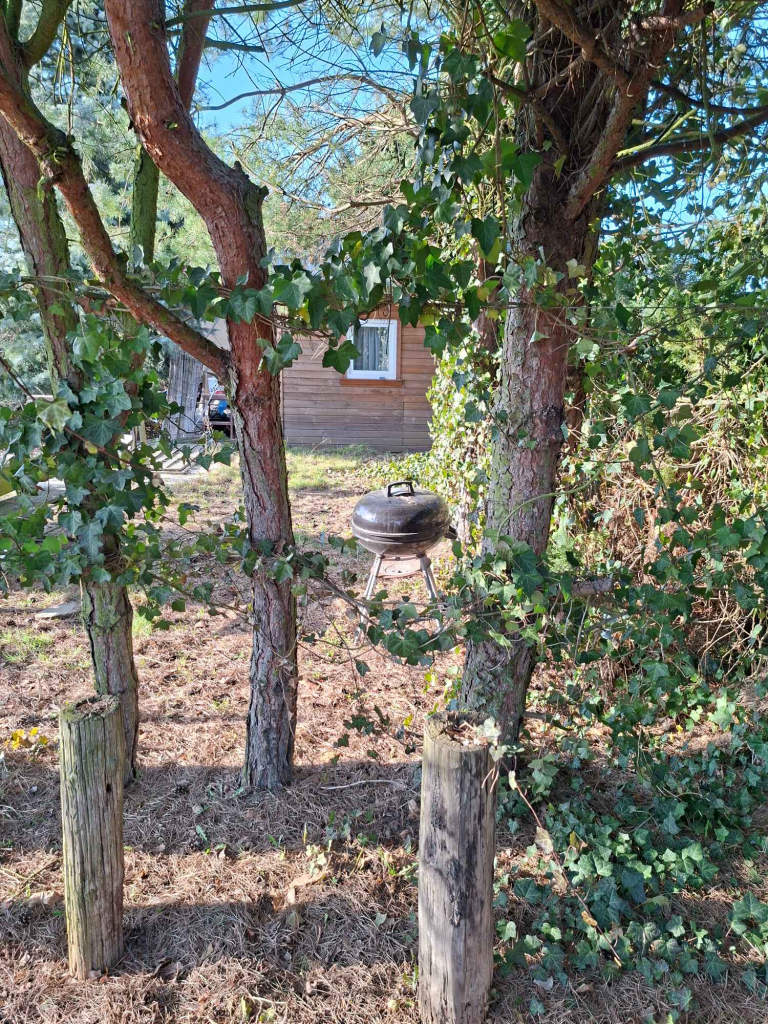 Sprzedam dzialkę ROD 4-marca Stargard Stargard - zdjęcie 2