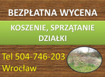 Przycięcie żywopłotu, skrócenie, tel 504-746-203, Wrocław, pielęgnacja Psie Pole - zdjęcie 2
