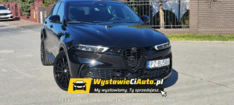 Alfa Romeo Tonale Telefon: 790_450_394 Lokalizacja: Buk Buk - zdjęcie 11