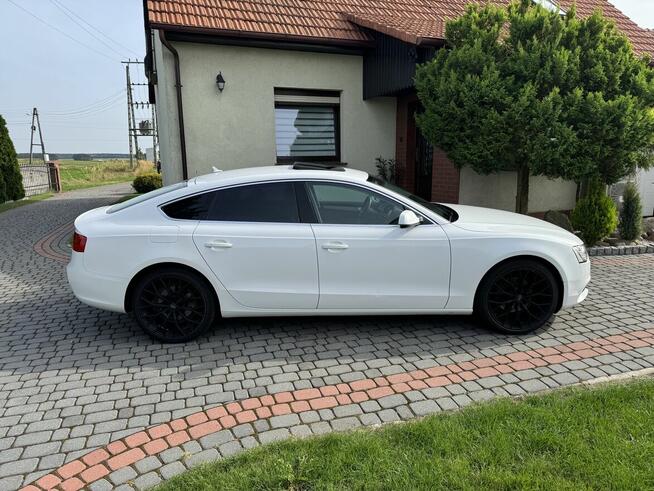 Audi a5 8t sportback 2.0 tdi quattro stronik Jemielnica - zdjęcie 8