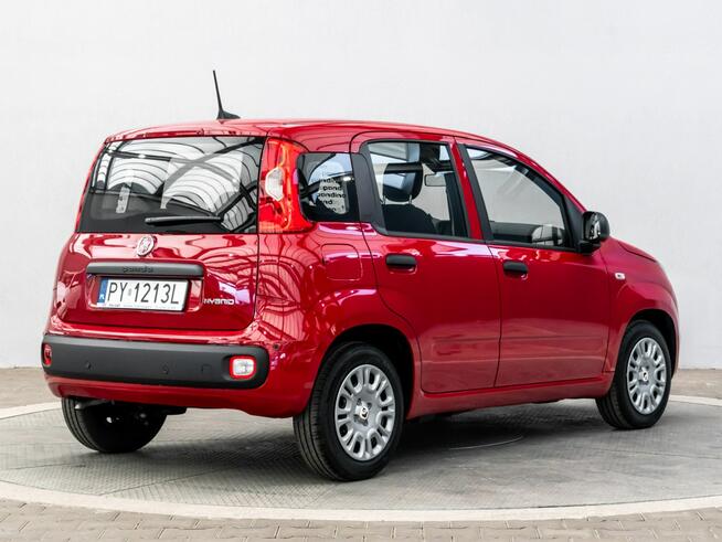 Fiat Panda 1.0 Pandina Hybrid Icon 70KM Salon Polska Poznań - zdjęcie 3