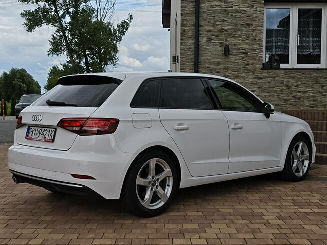 Audi A3 Sadlno - zdjęcie 10