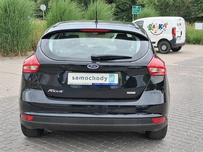 Ford Focus Grzana Kierownica Navi Klimatronic Bez wypadek Słupca - zdjęcie 5