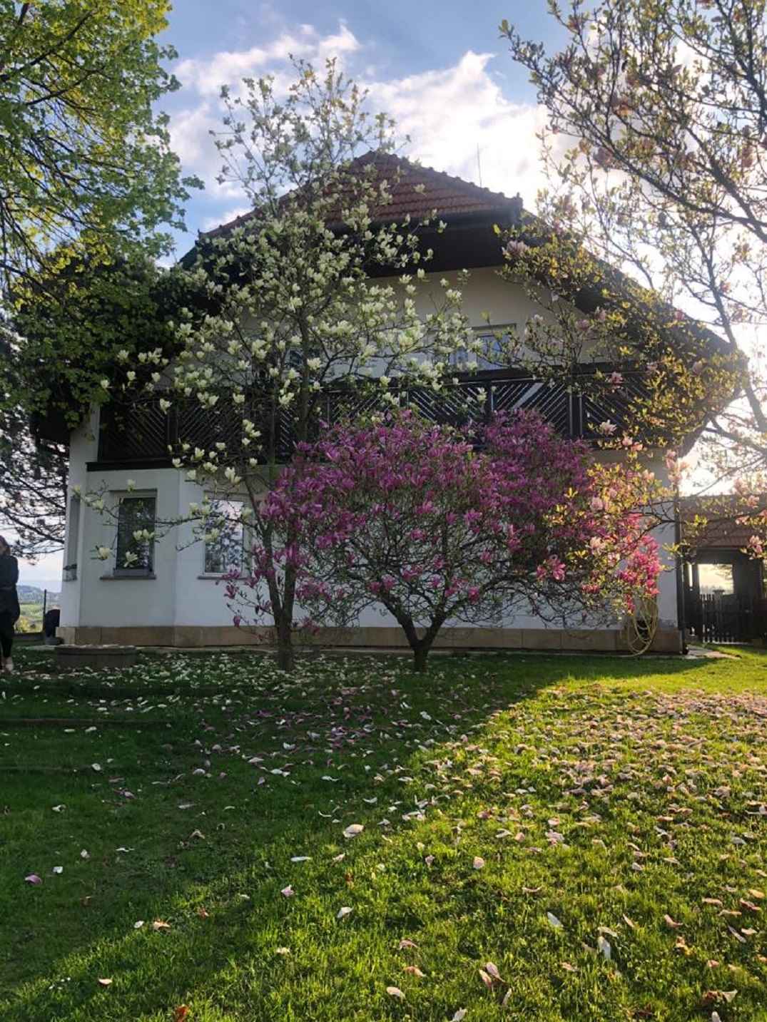 Wygodny dom z sauną Nowy Sącz sprzedam Nowy Sącz - zdjęcie 8