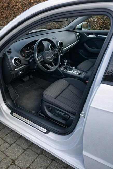 Audi A3 Sadlno - zdjęcie 7