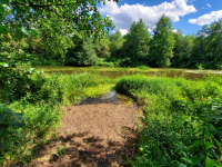 Działka rekreacyjna 30 arów nad rzeką lubaczówka. Czerwona Wola - zdjęcie 8