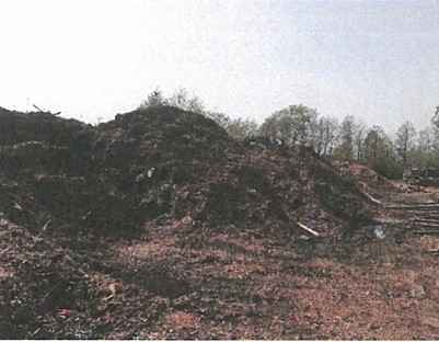 biomasa, kora sosnowa Stare Miasto - zdjęcie 3