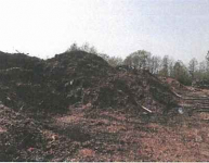 biomasa, kora sosnowa Stare Miasto - zdjęcie 3