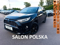 Toyota RAV-4 Salon Polska