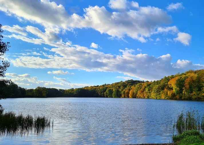 Boszkowo nad jeziorem Boszkowo - zdjęcie 1