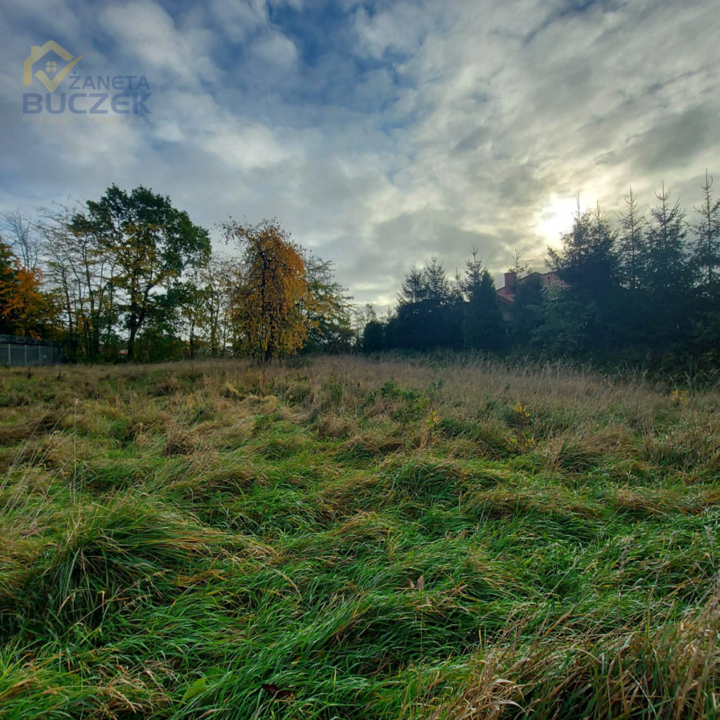 Działka budowlana Nieborów powiat łowicki Nieborów - zdjęcie 9