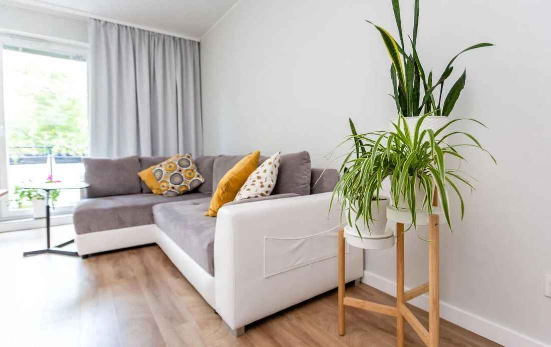 3pok, 66met, Okolice Kamieńskiego BALKON/WINDA/2018 (Wrocław) Psie Pole - zdjęcie 2