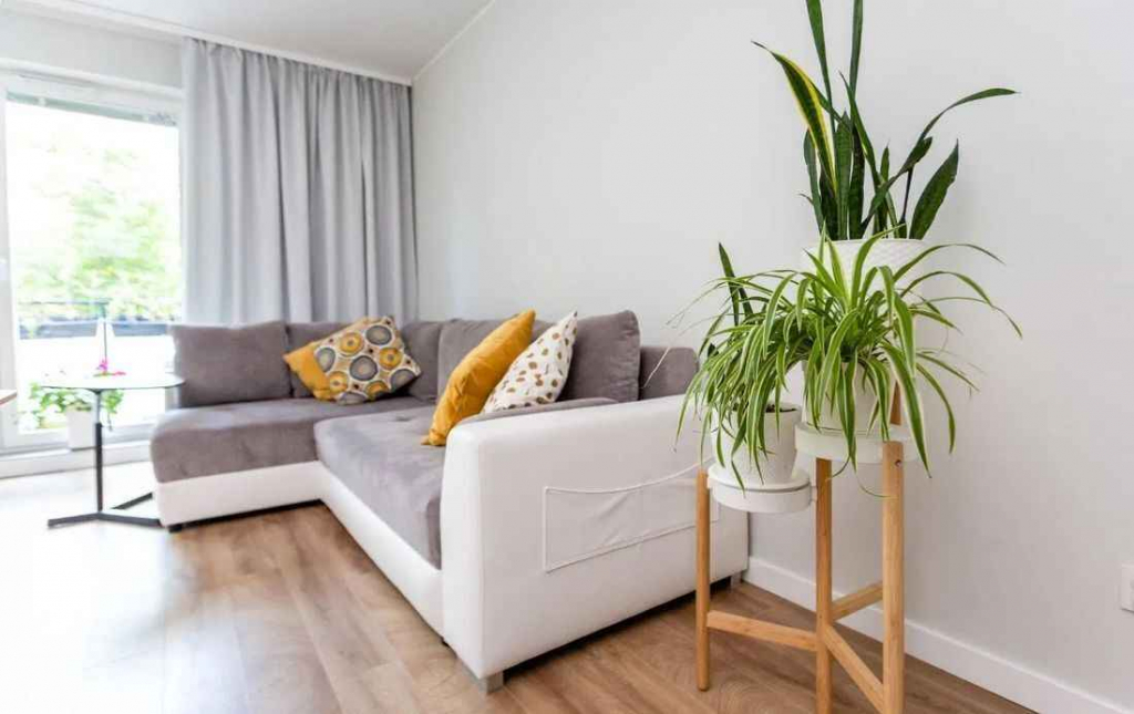 3pok, 66met, Okolice Kamieńskiego BALKON/WINDA/2018 (Wrocław) Psie Pole - zdjęcie 2